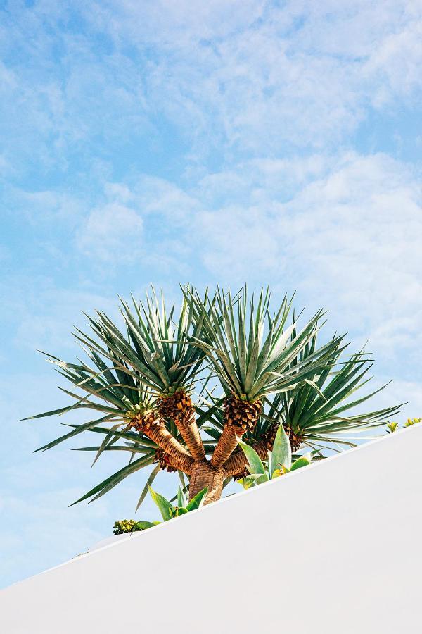 The Surf Yamba Hotel Exterior photo